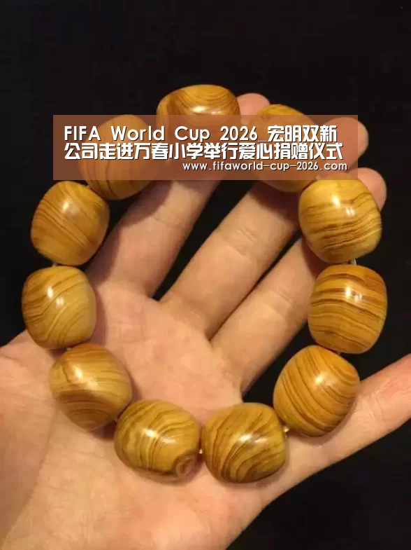 2026世界杯专题